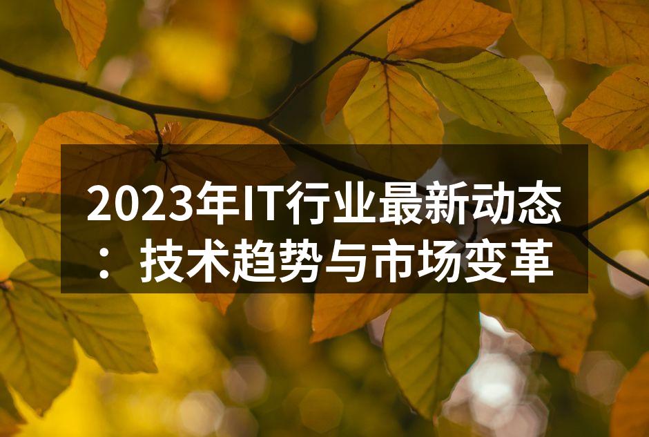 2023年IT行业最新动态:技术趋势与市