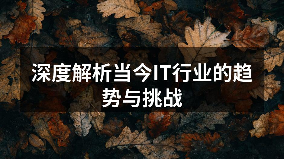 深度解析当今IT行业的趋势与挑战